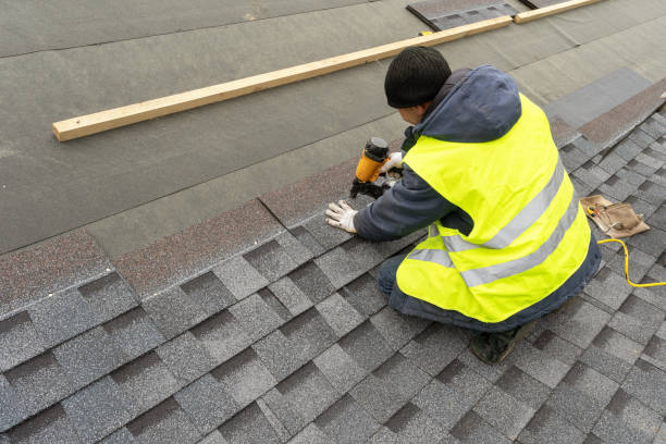 Best Metal Roofing Contractor  in The Plains, OH