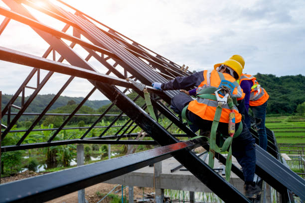 Best Roof Gutter Cleaning  in The Plains, OH