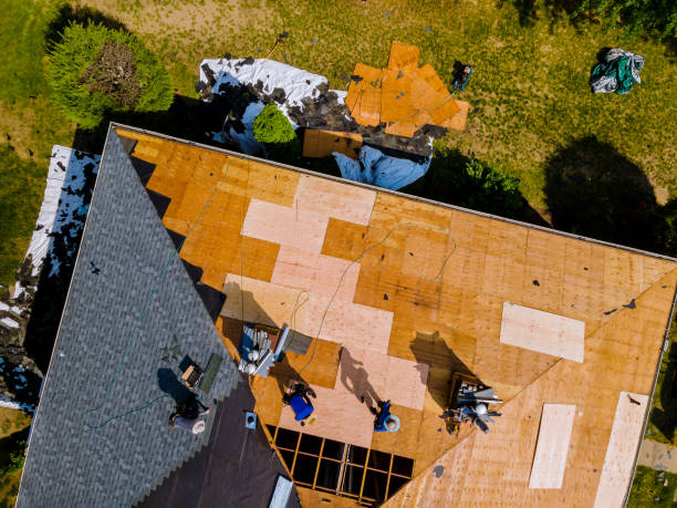 Trusted The Plains, OH Roofing Contractor Experts