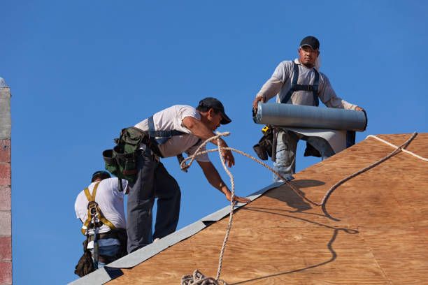 Best Roof Waterproofing Services  in The Plains, OH