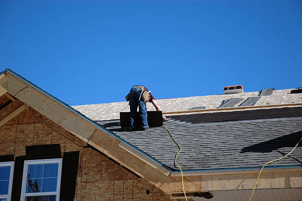 Best Roof Repair Services  in The Plains, OH