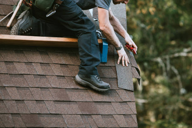Best Roof Leak Repair  in The Plains, OH